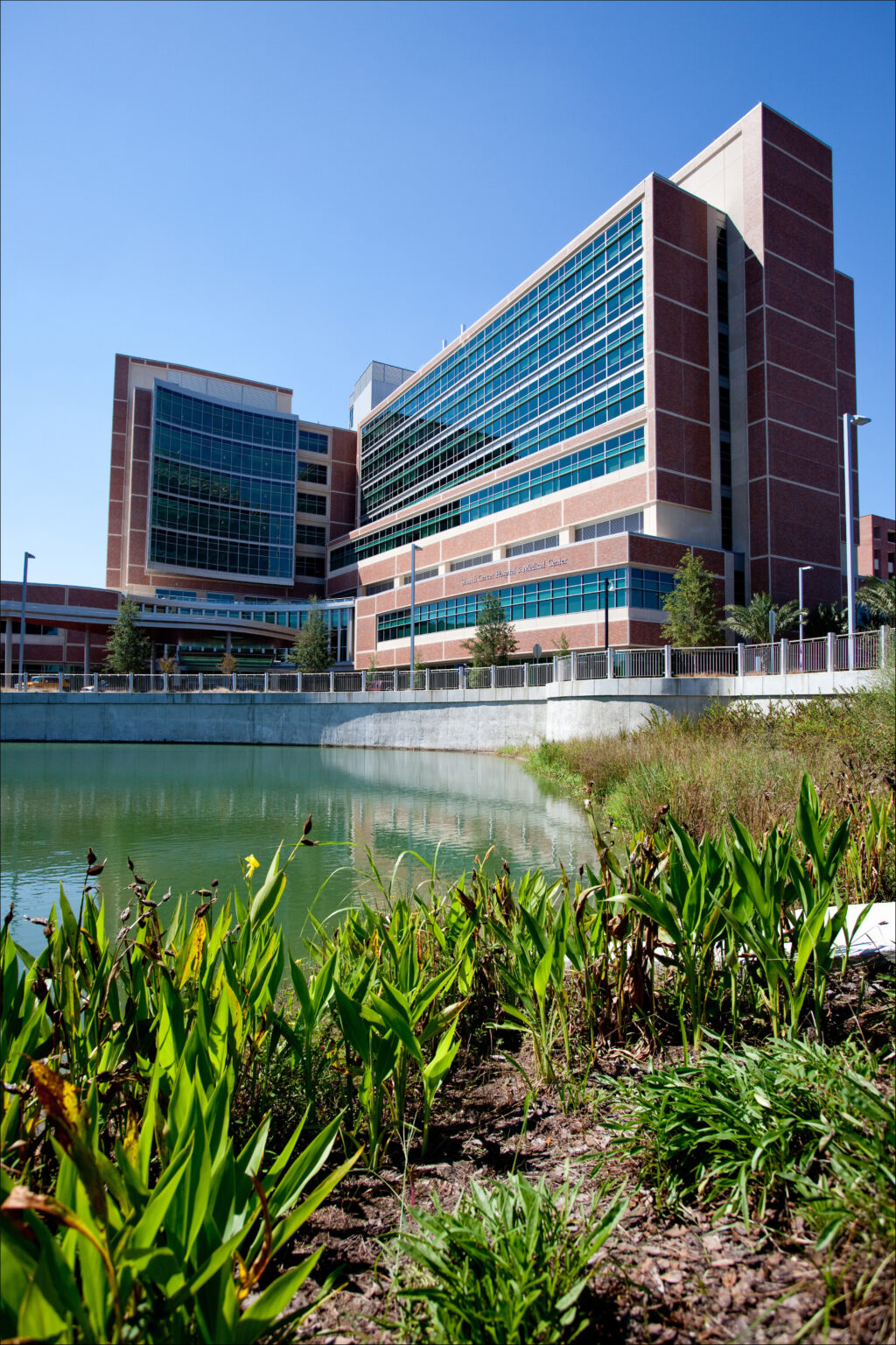 UF Health Shands Hospital Cancer Registry Software & Services